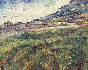Green wheat field